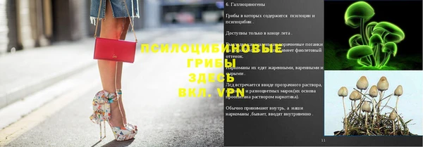 ешки Волоколамск