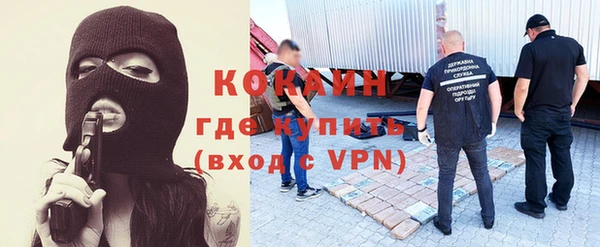 прущие грибы Володарск