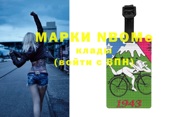 стафф Вязьма