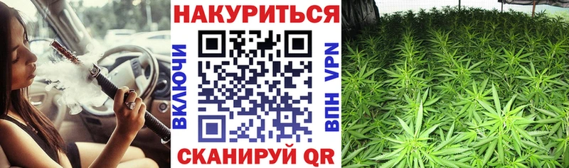 Каннабис Amnesia Александровское